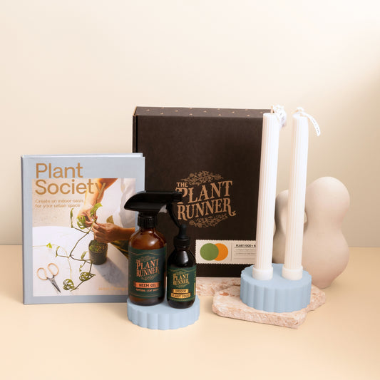 Unique Corporate Gift Hamper for Plant lovers . Featuring a pair of pillar candles,  Book about Plant Care and Plant Food Sprays.