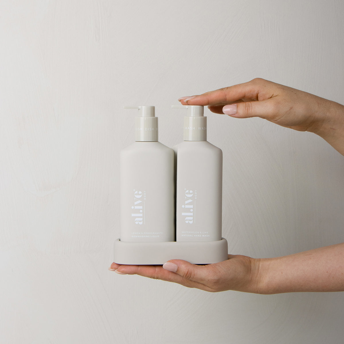 Hand Wash & Dishwashing Liquid Premium Kitchen Duo