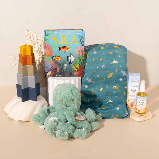 LITTLE EXPLORER - Baby Boy Gift Box