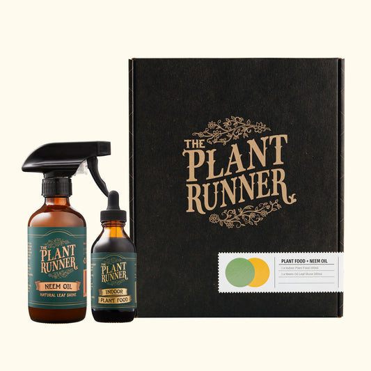 Plant Care Essentials Kit